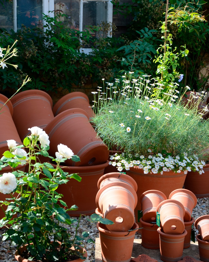 Royal Horticultural Society Flowerpot Range