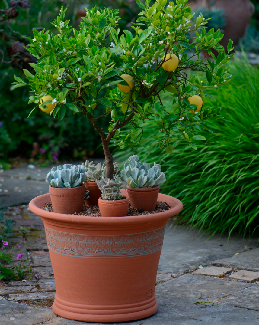 Handmade British Frostproof Flowerpots