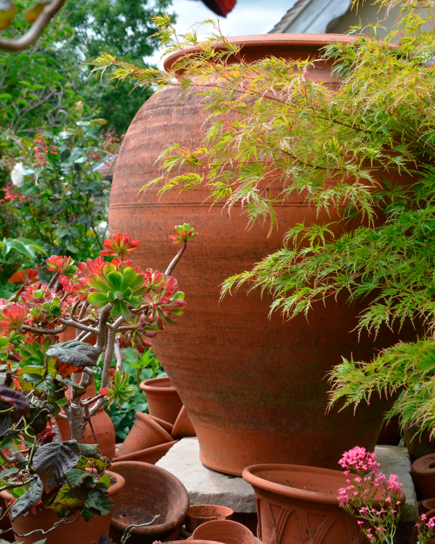 Giant Ali Baba Jar