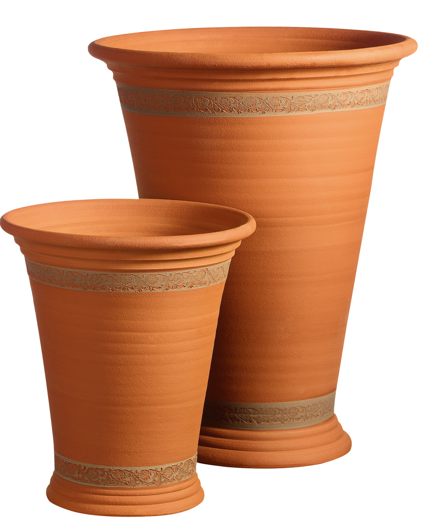 Lily Pot and Bulbs