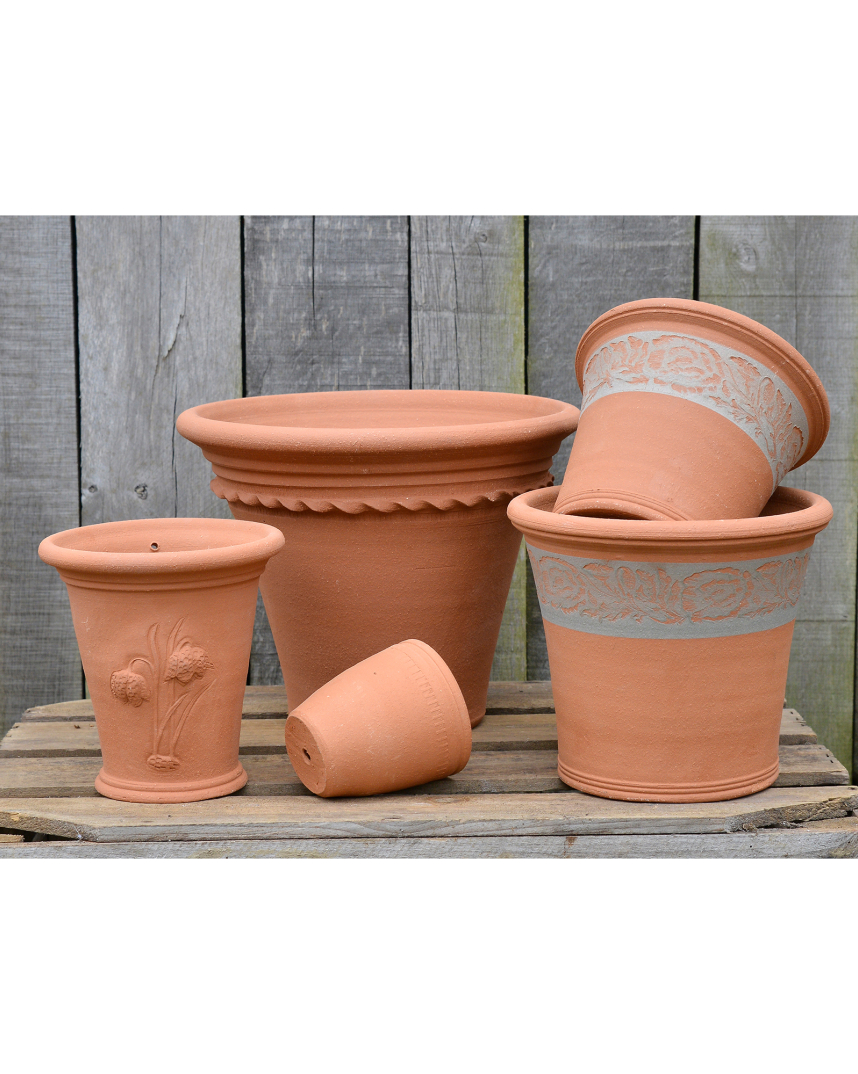 spring gift collection ash