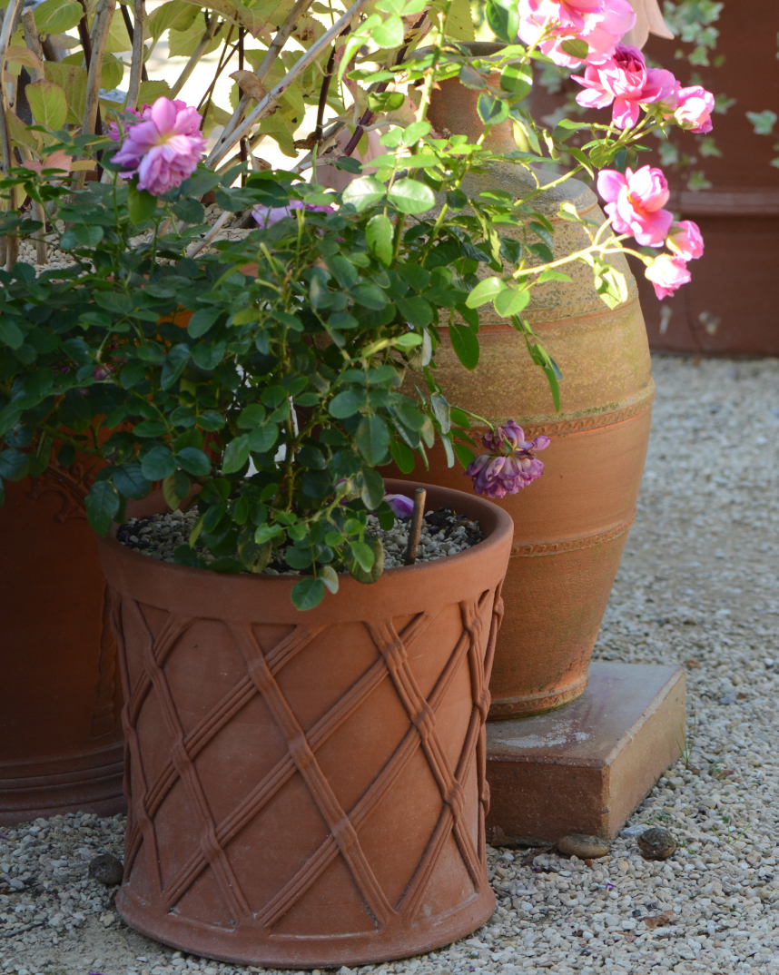Baskets Whichford Pottery Lattice Pots
