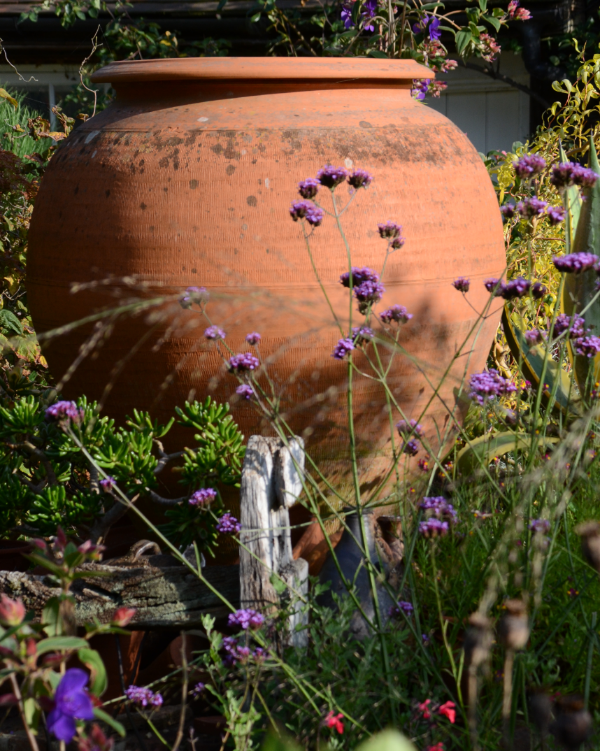 Ali Baba Whichford Pottery