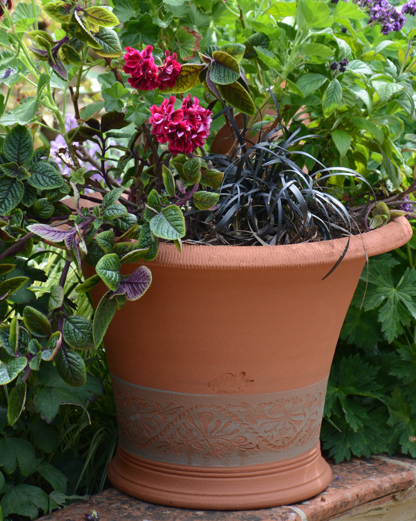 Honeysuckle Planter Whichford Pottery