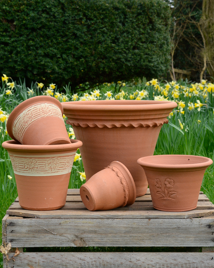 Spring Gift Collection Yellow