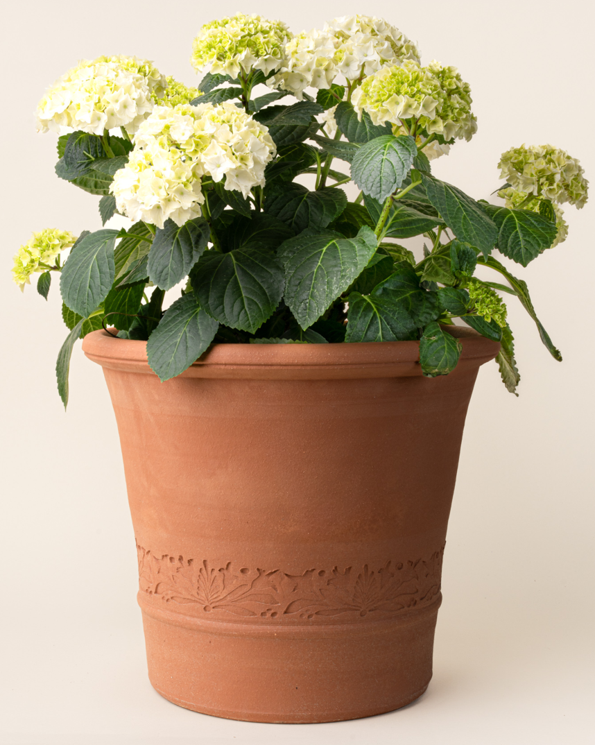 East Fork x Whichford Pottery Buxus Pot Large