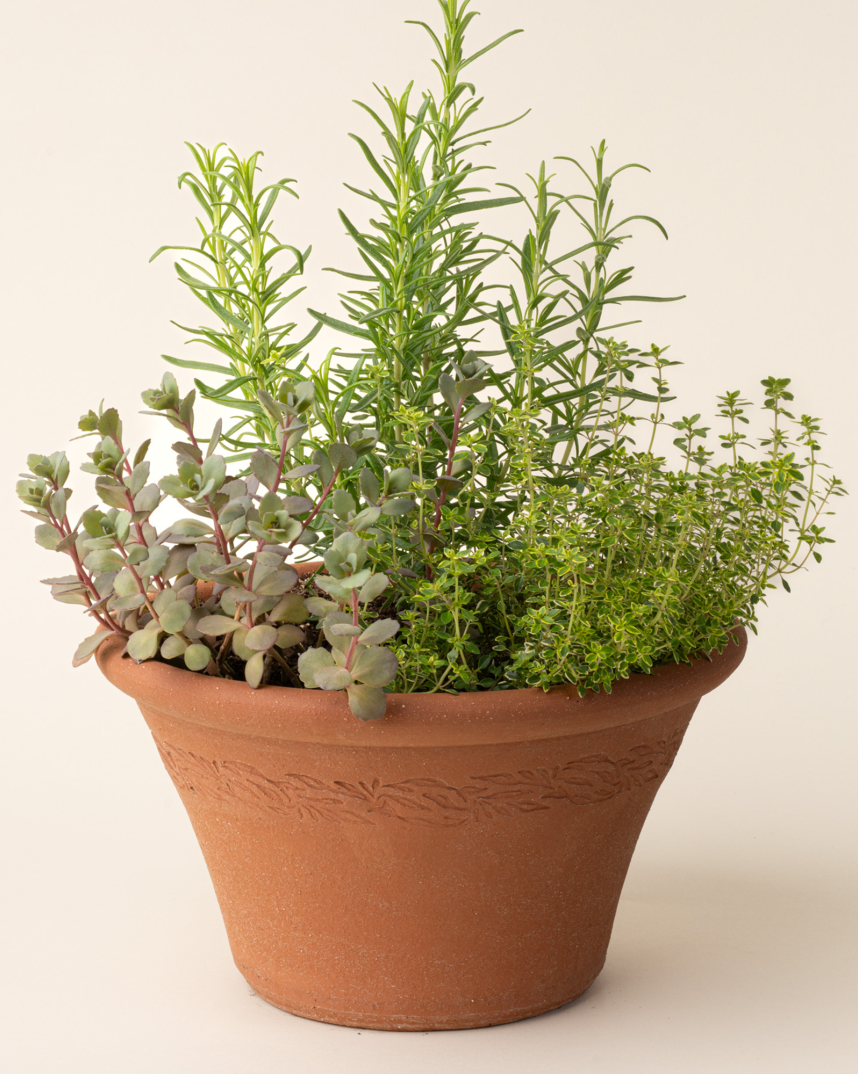 East Fork x Whichford Pottery Half Pot 
