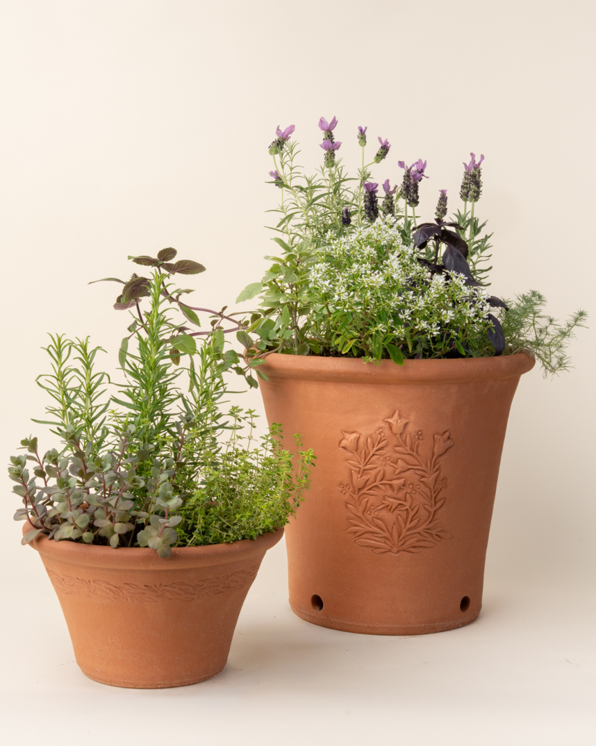 East Fork x Whichford Handmade Terracotta Pots