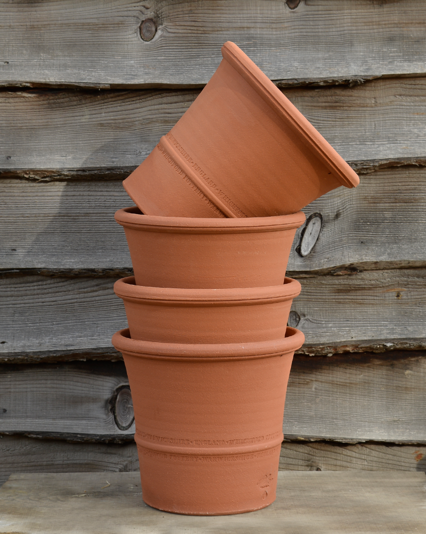 Set of Four Buxus Pots