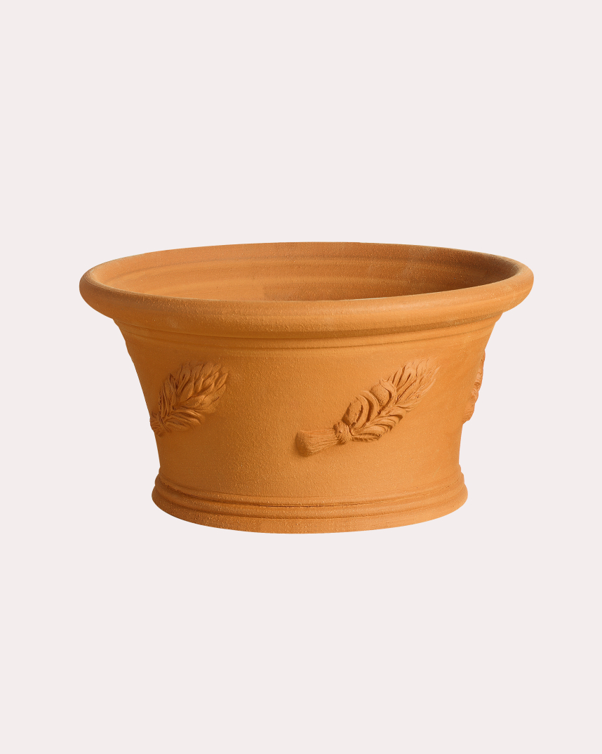Hosta Pot