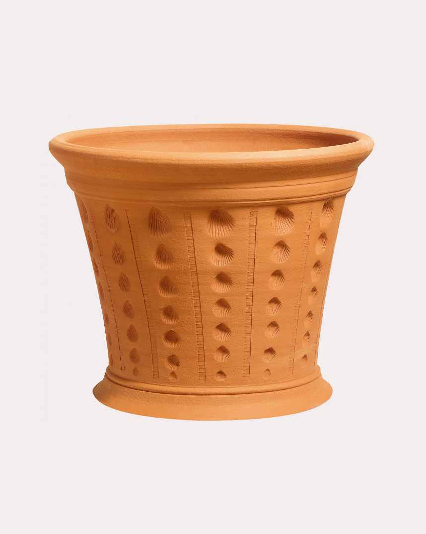 130D Cockleshell Pot