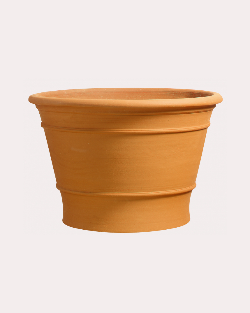 1365 Compton Pot