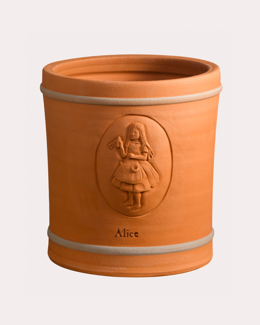 278 The Alice Planter