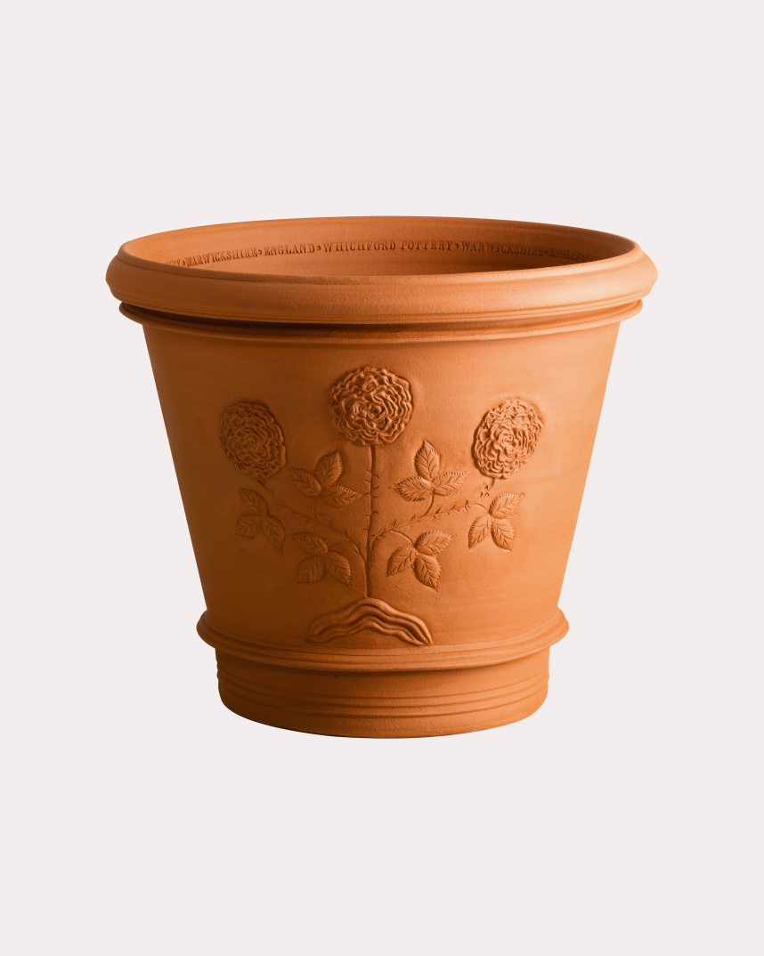 732BC Jubilee Rose Pot