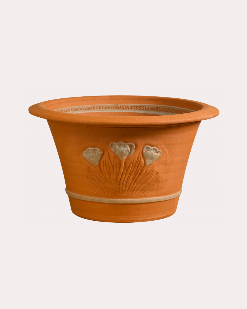 Crocus Pot