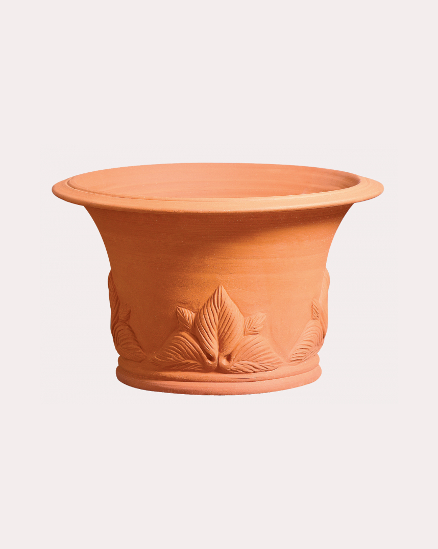 Hosta Pot Whichford Pottery
