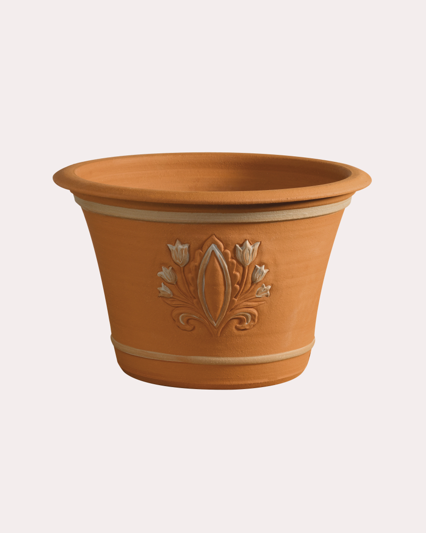 Spring Bulb Pot