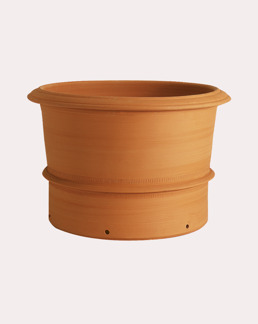 Mulberry Pot