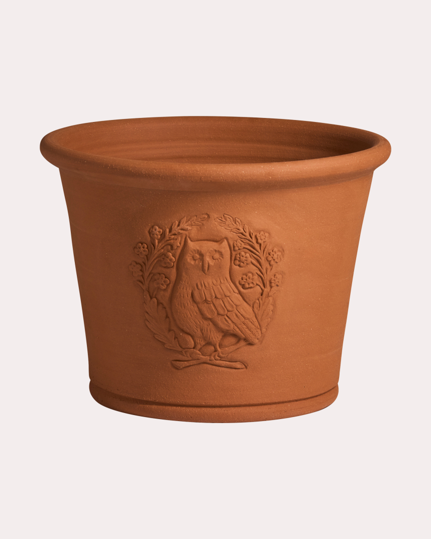 Small Owl Pot