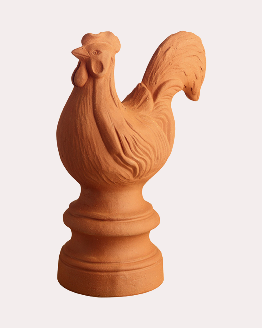 bantam cockerel