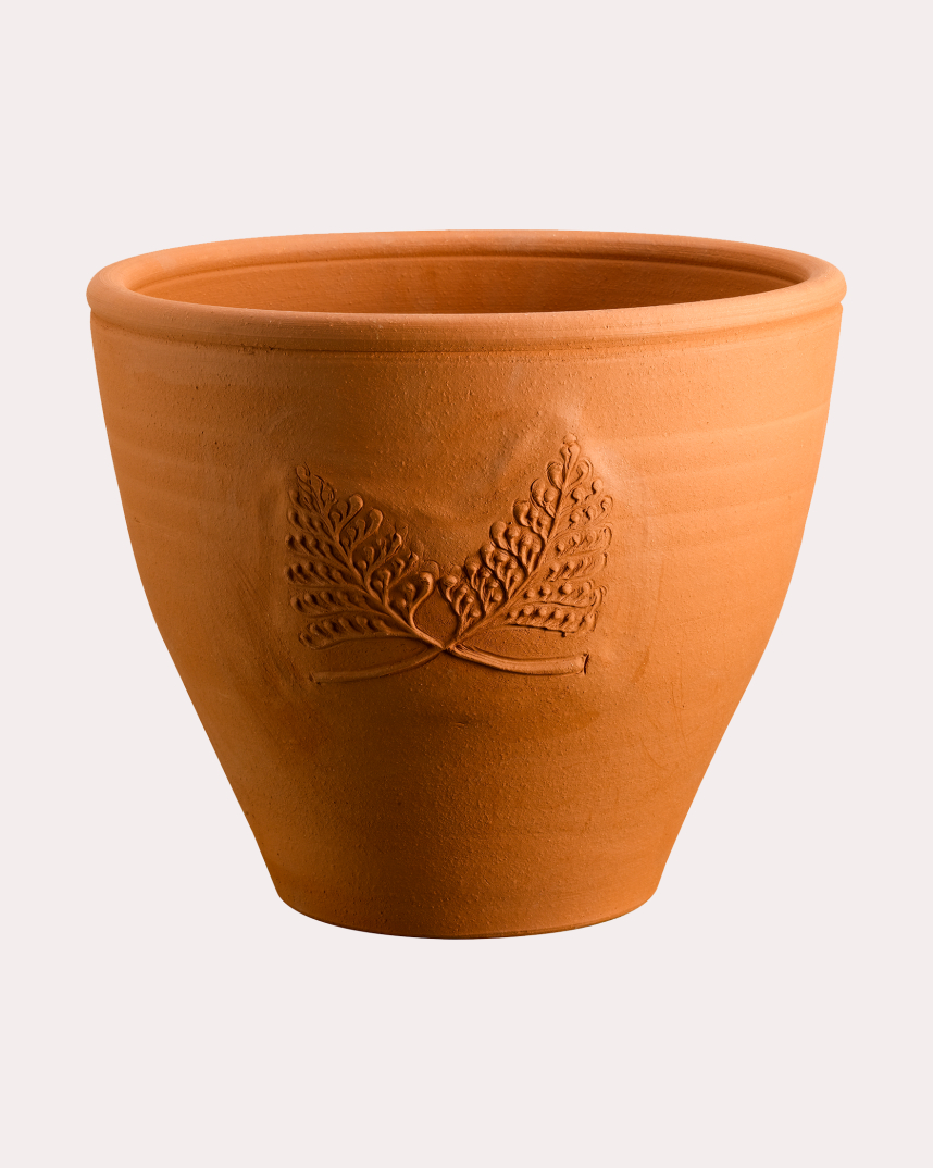 Fern Barrel