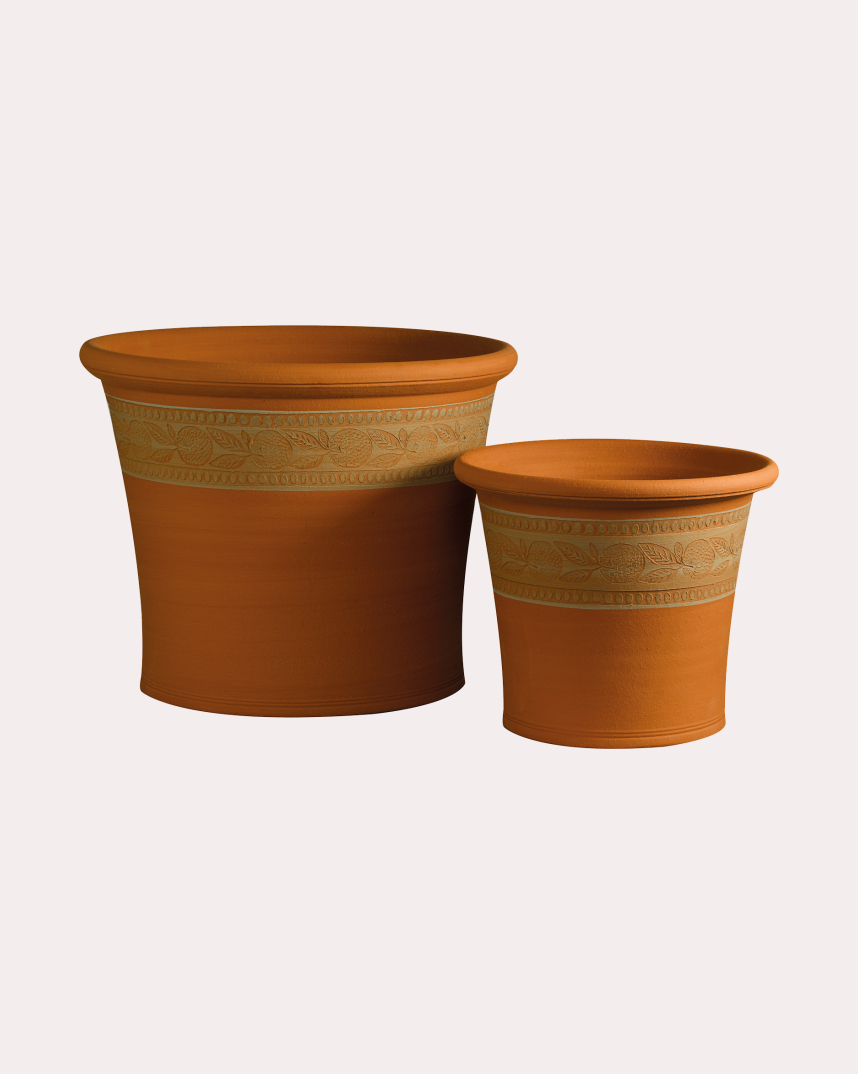 Clementine Pot