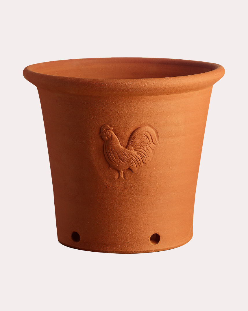 Cockerel Pot