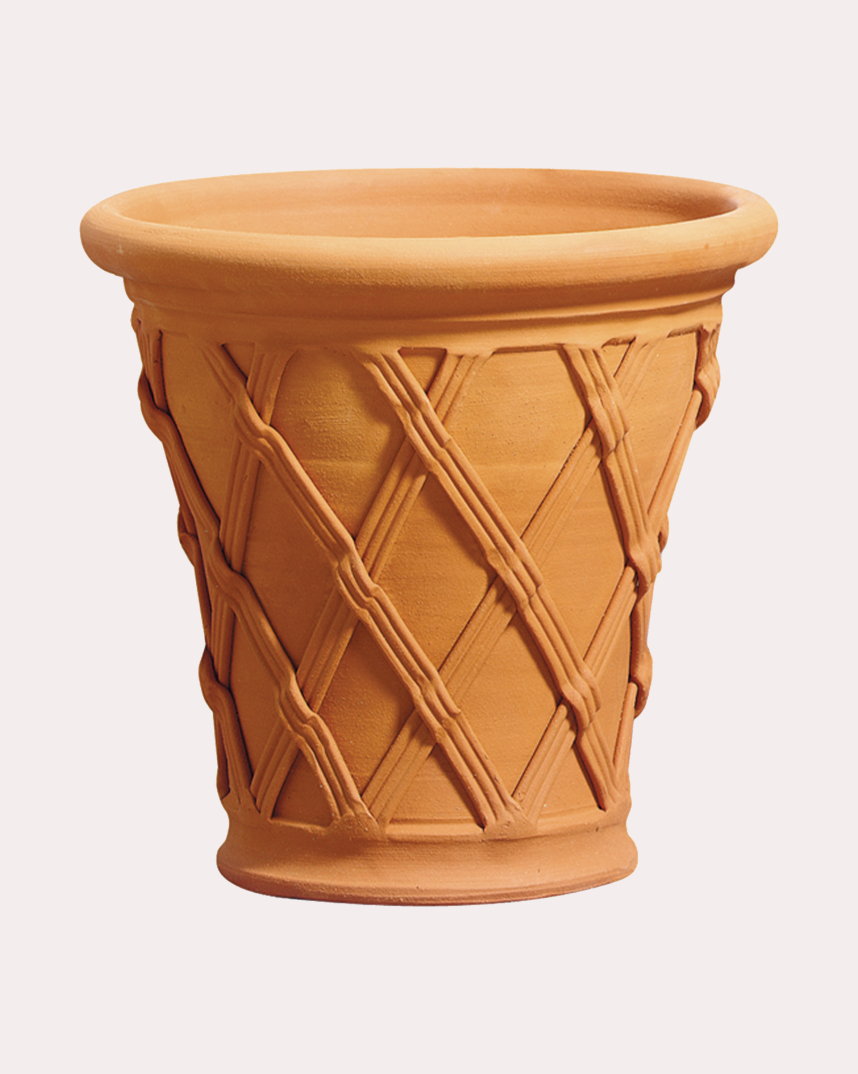 Basket Lily