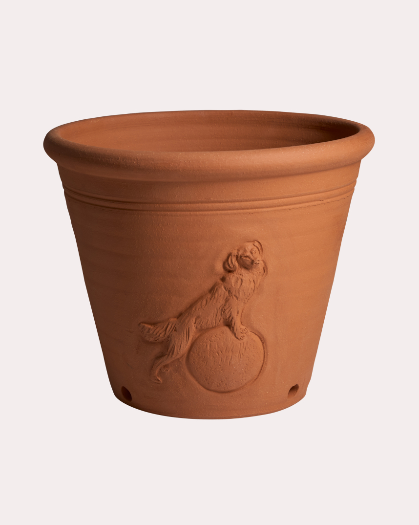 Small Monty Don Dog Pot