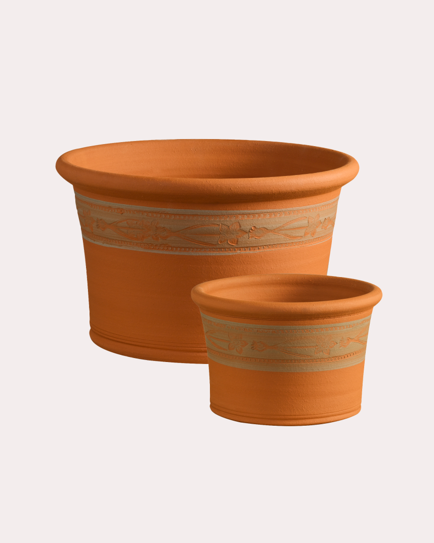 Set of Two RHS Wild Daffodil Planters