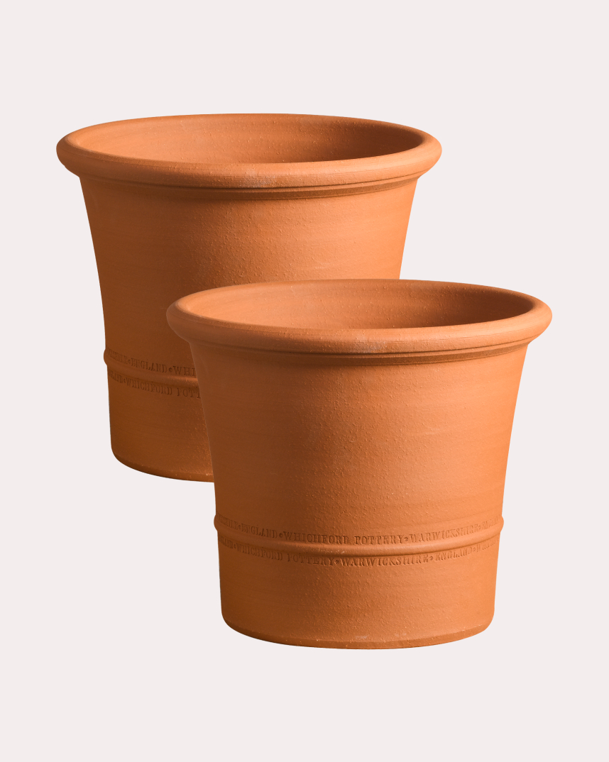 Set of Two Buxus Pots