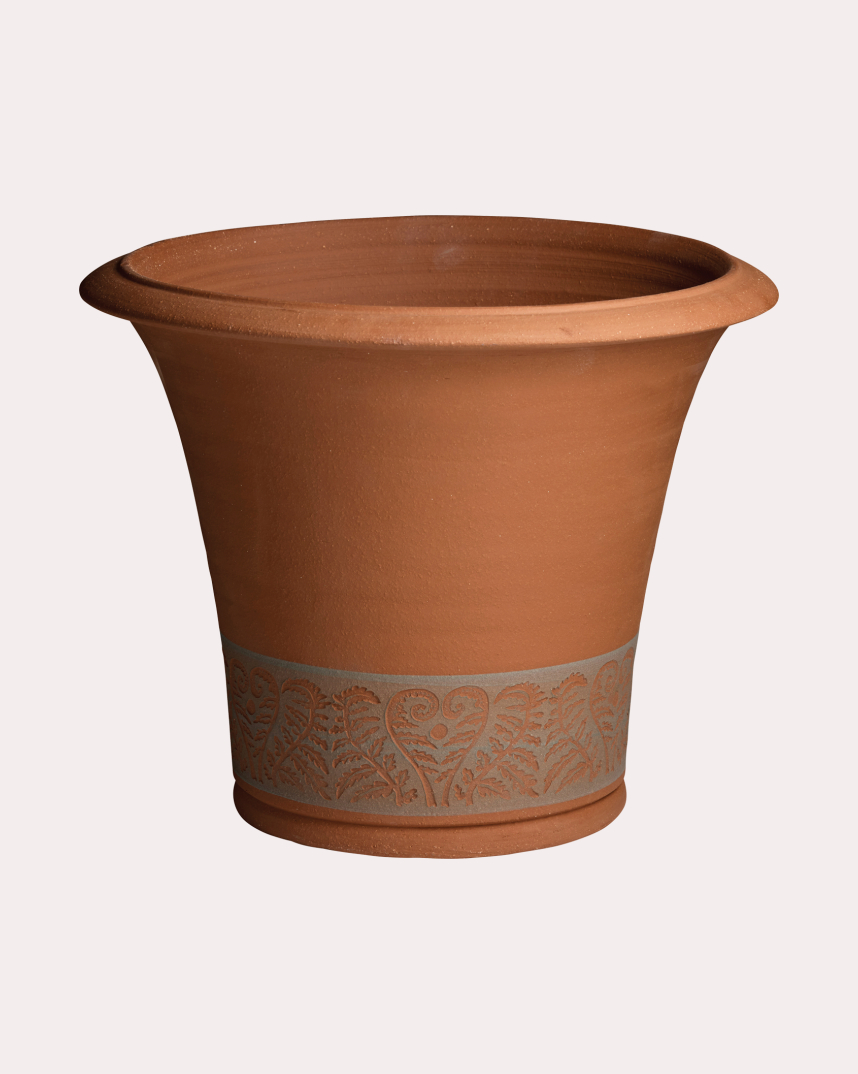 Fern Planter