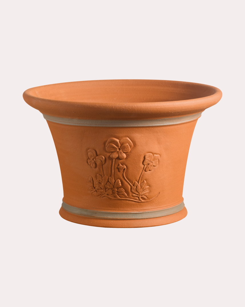 Viola Pot
