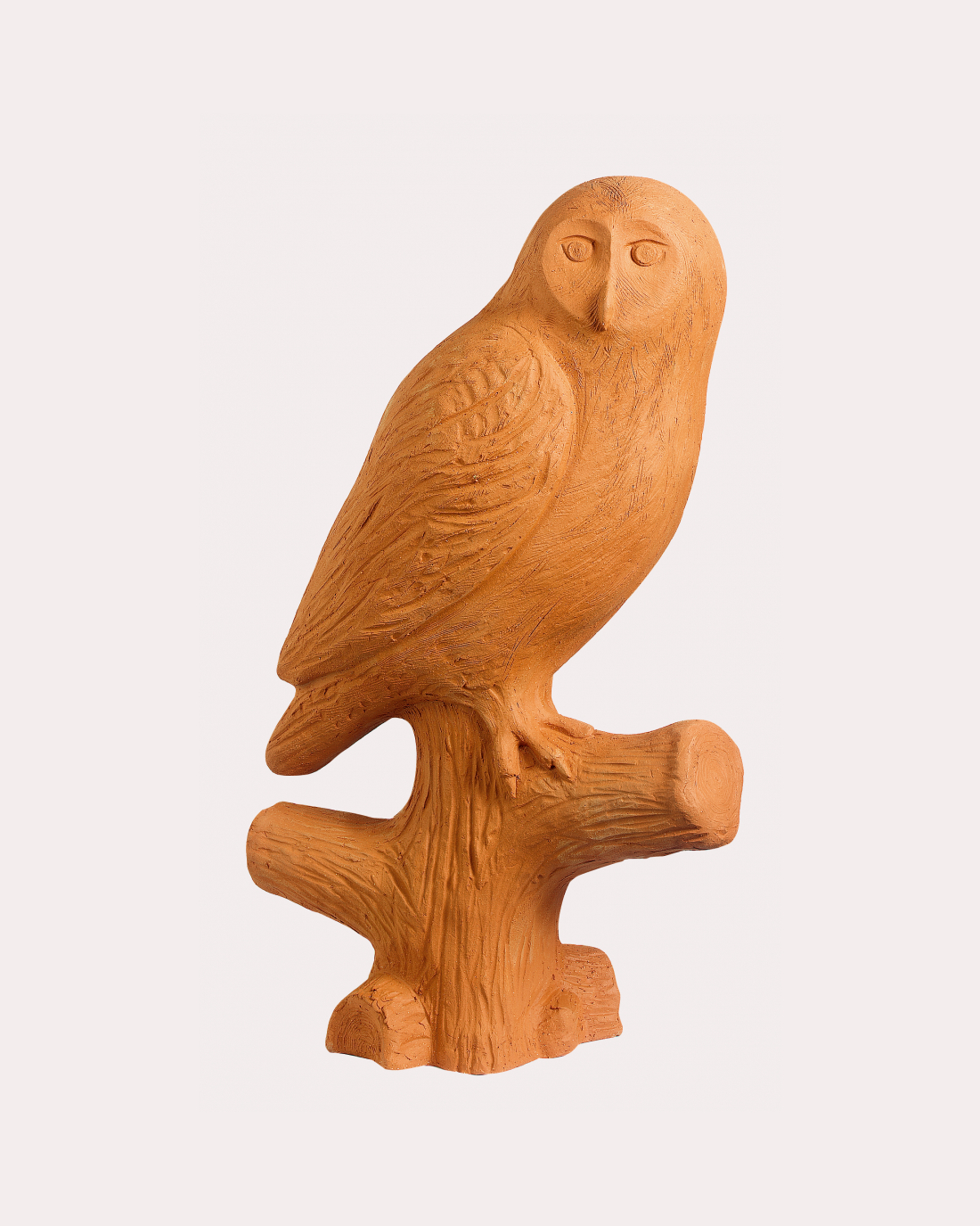 3031 Owl