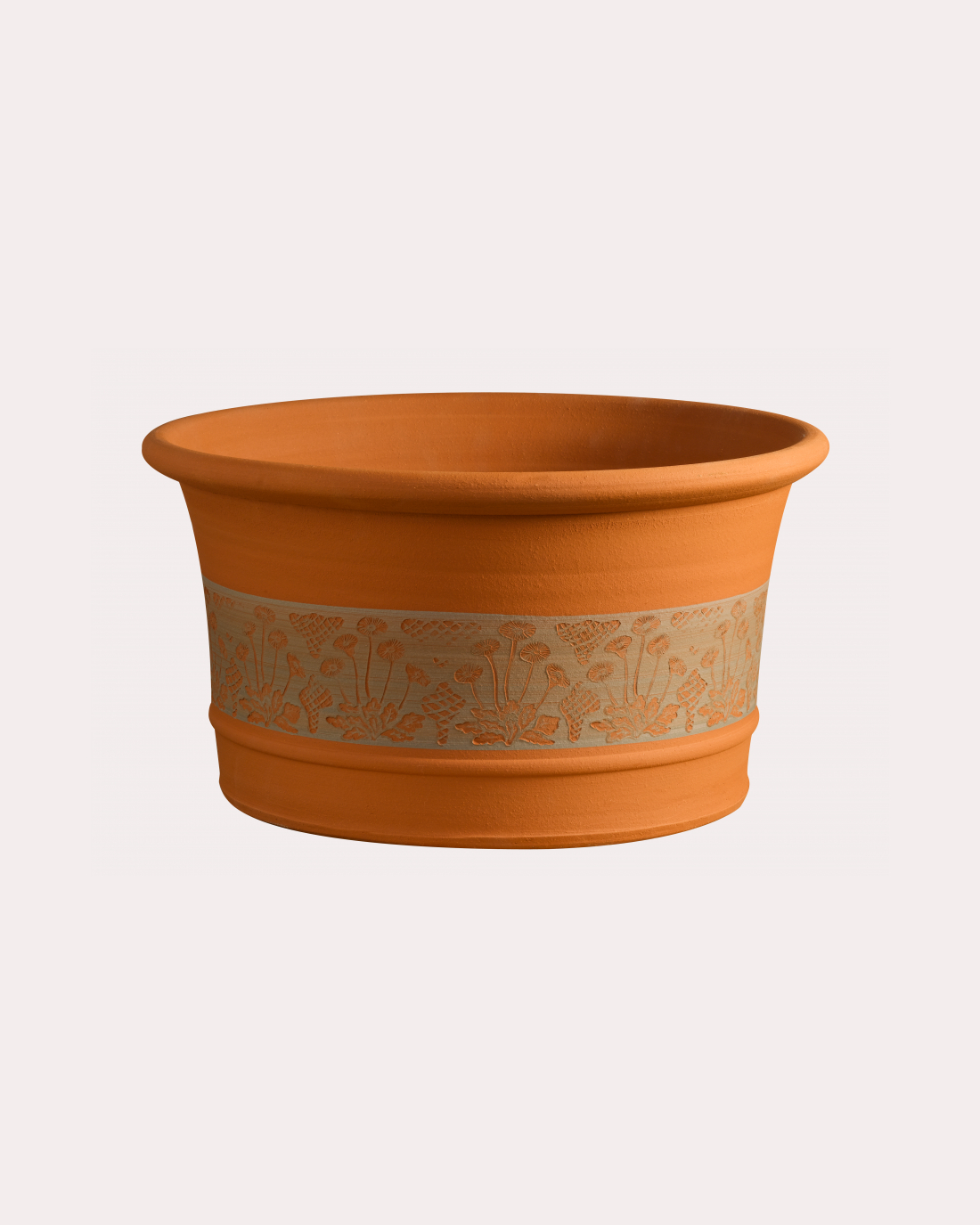 391 RHS Daisy Planter