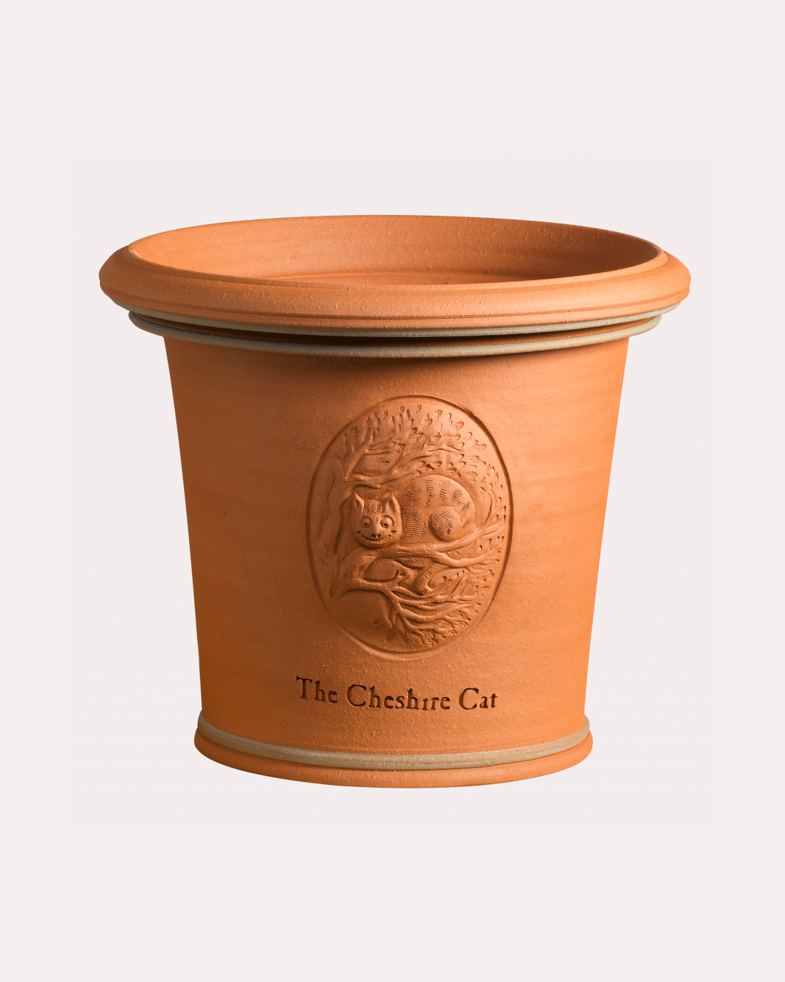 404 Cheshire Cat Pot