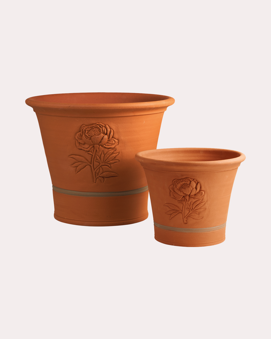 peony planter