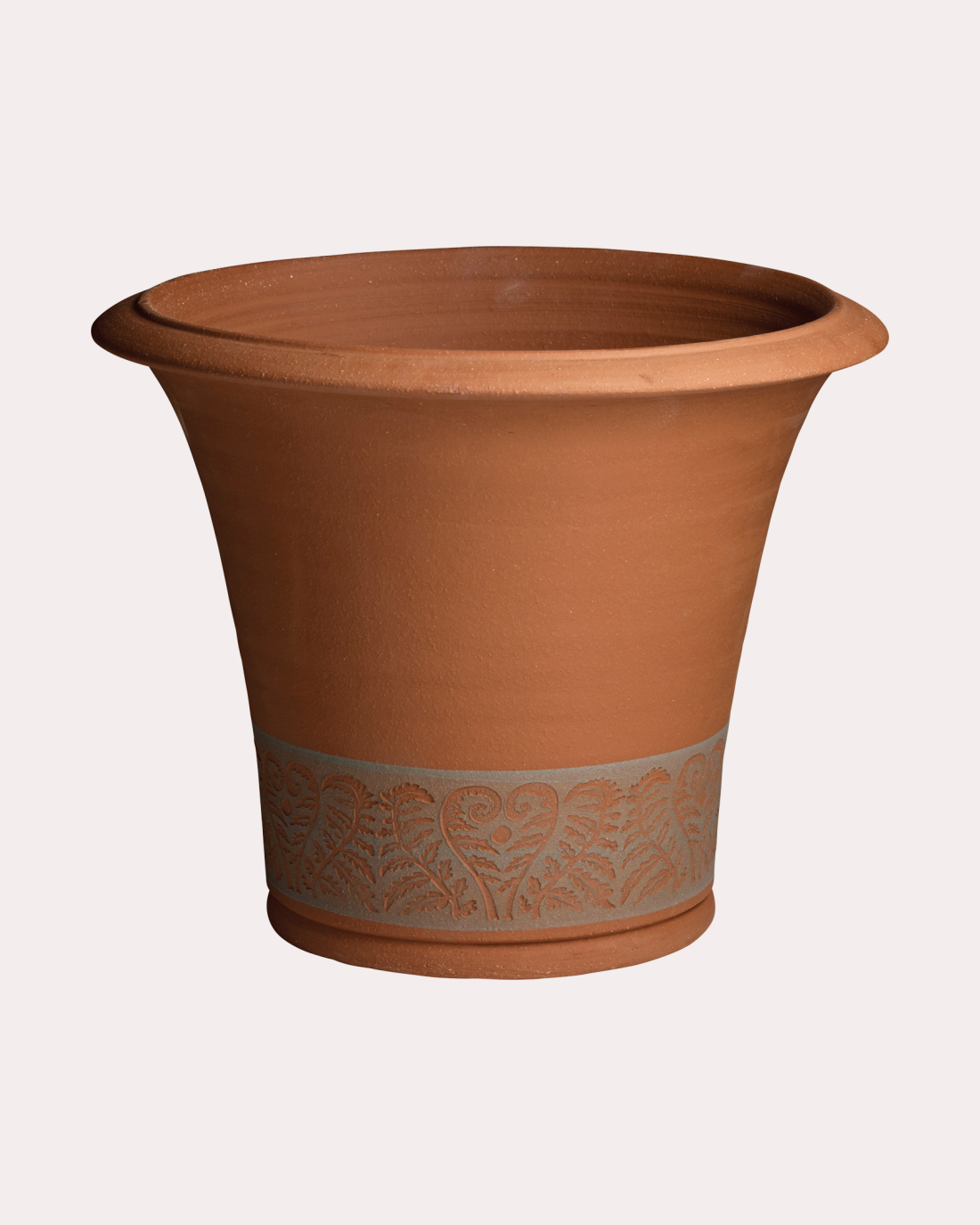 Fern Planter