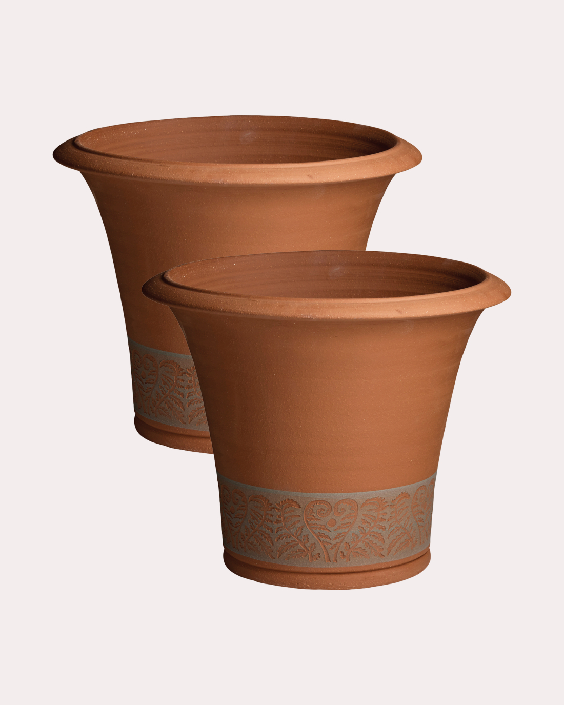 Pair of Fern Planters