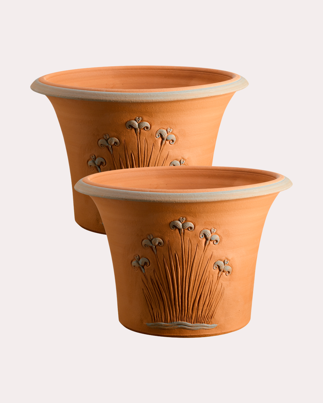 Pair of Windrush Iris Pots