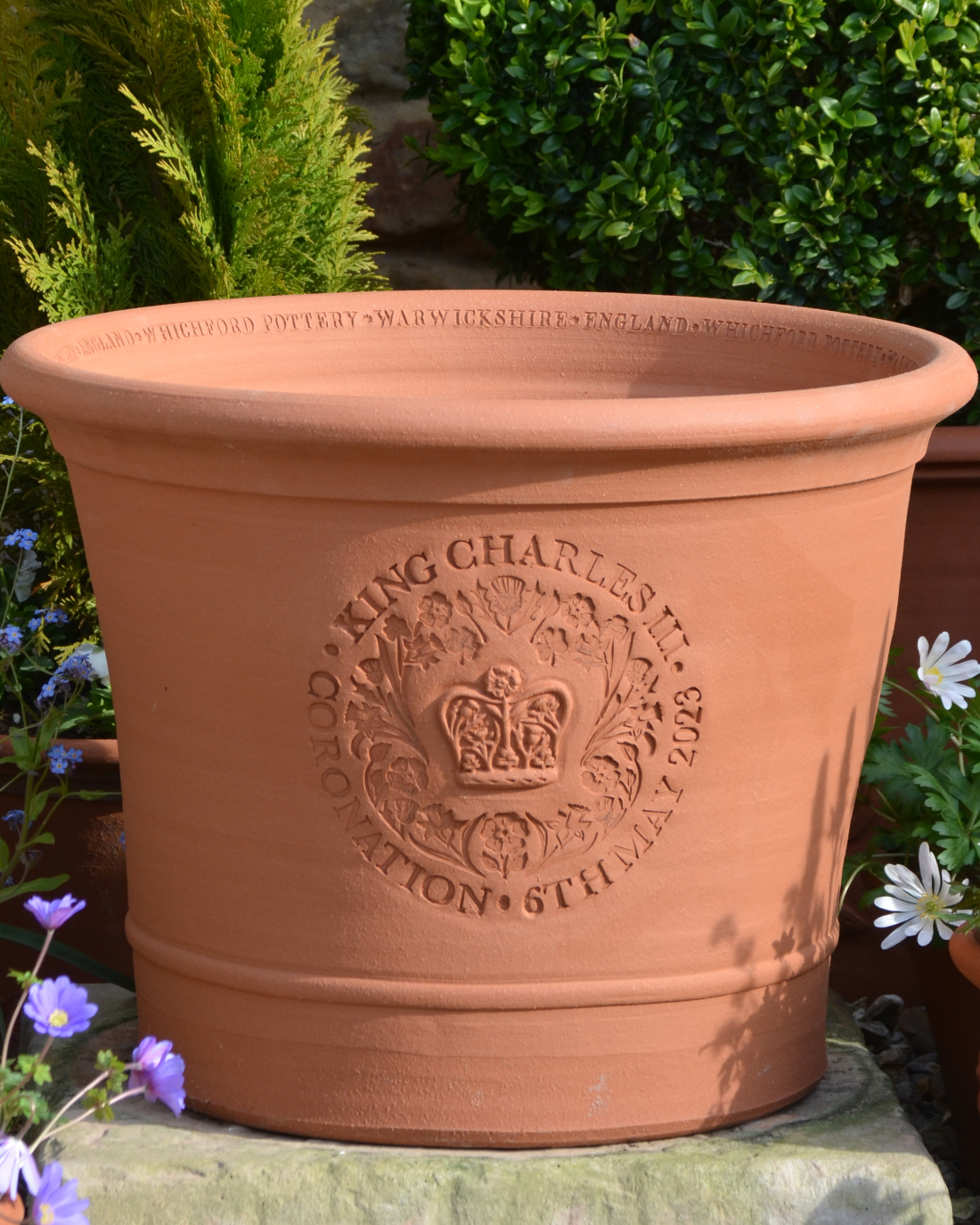 Coronation Pot Medium