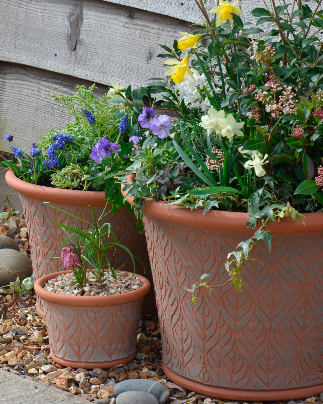 Beech Leaf Planter