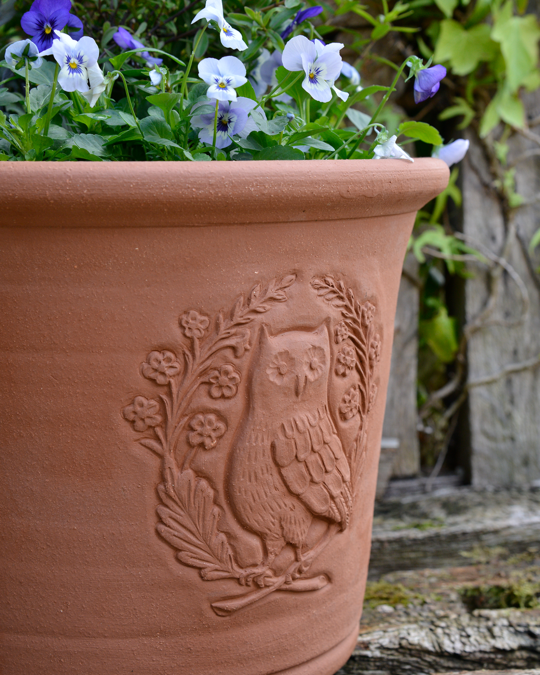 Planted Woodland Owl Pot