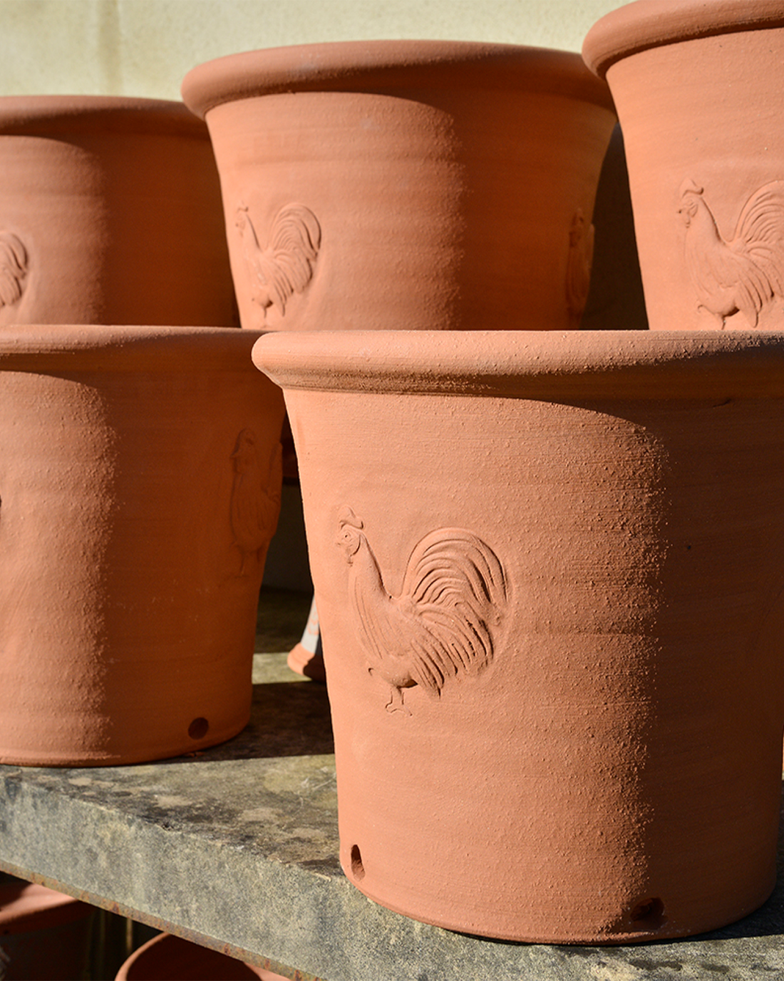 cockerel pot