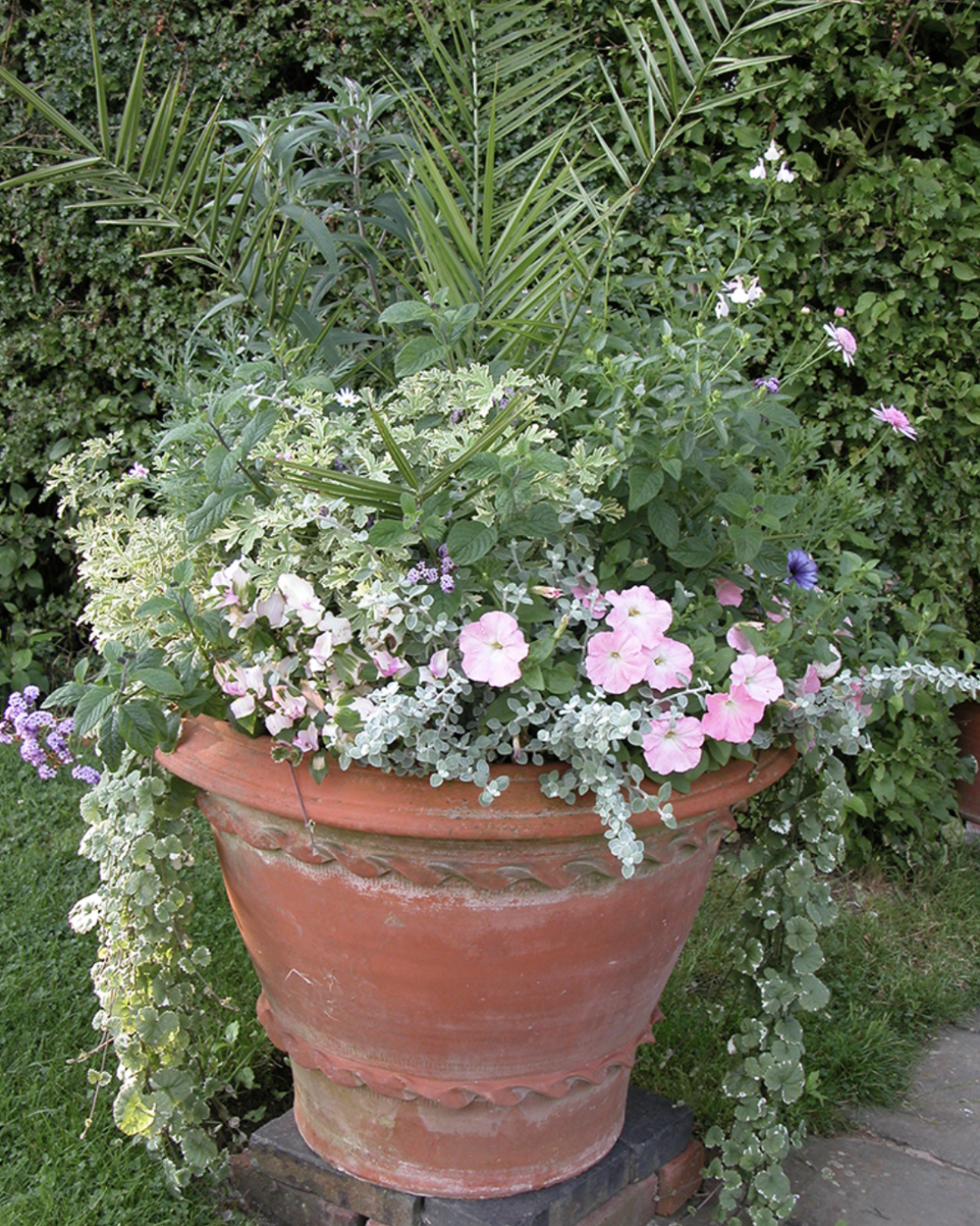Double Pastry Pots Whichford Pottery Statement Planters