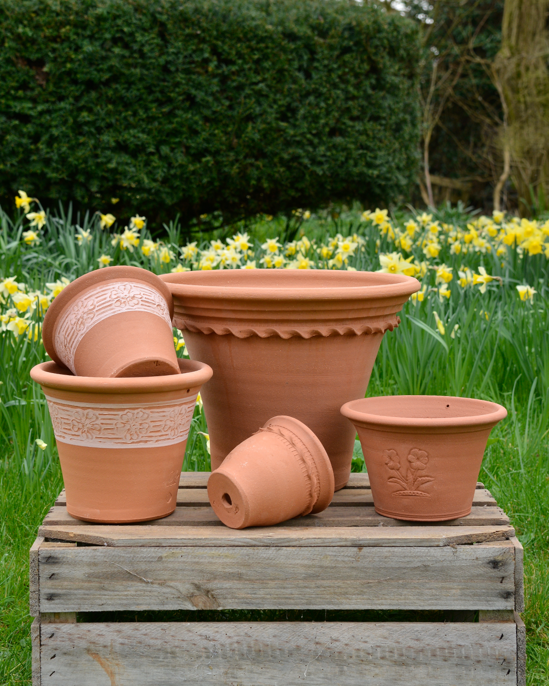 Spring Gift Collection Blush