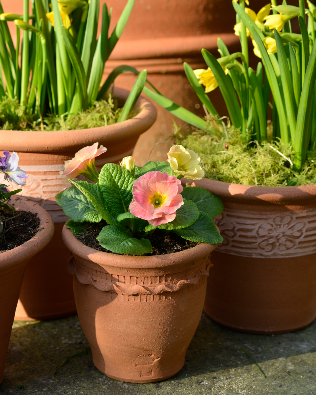 Spring Gift Collection