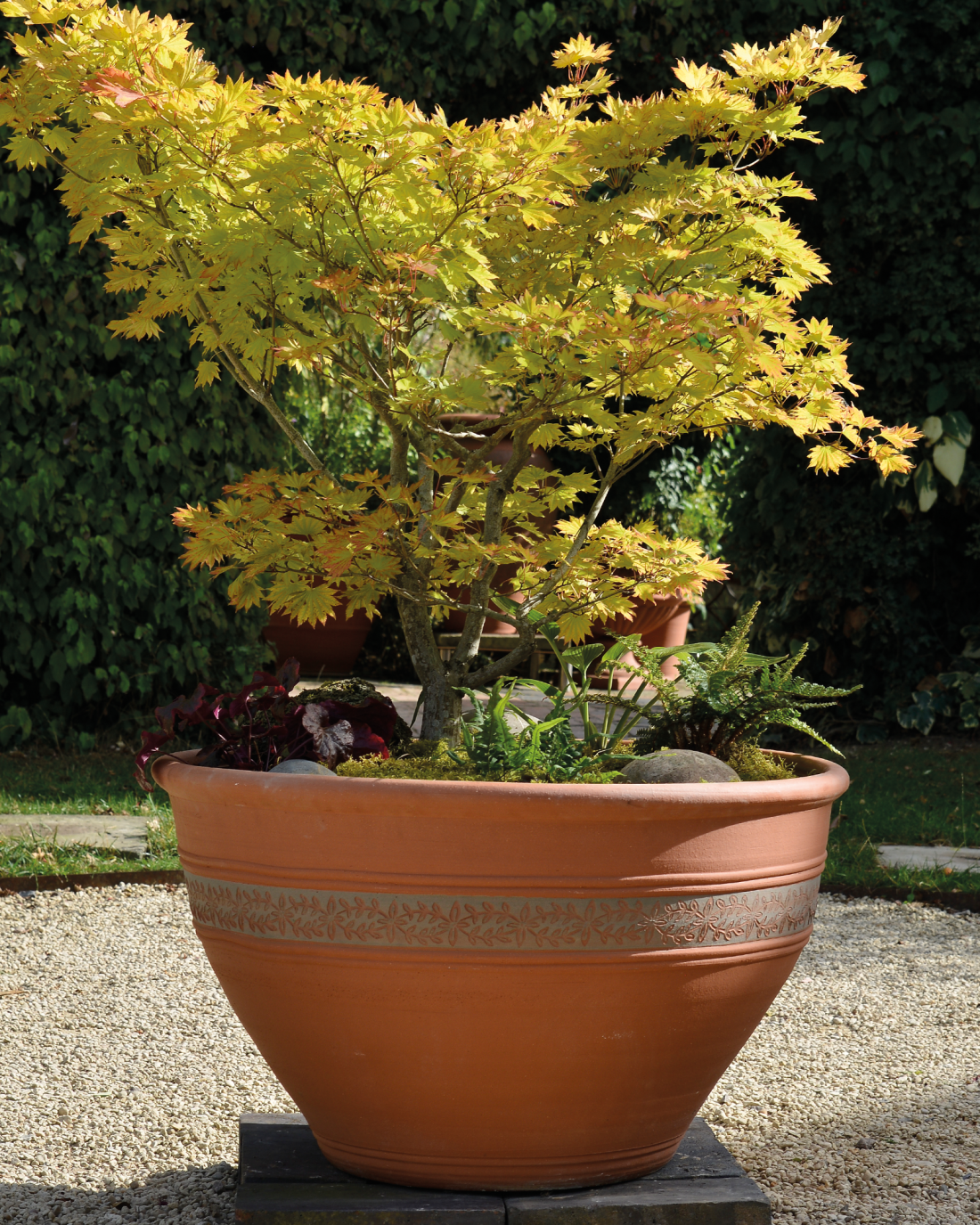 Cotton Reel Pot Whichford Pottery Handmade Frostproof Terracotta