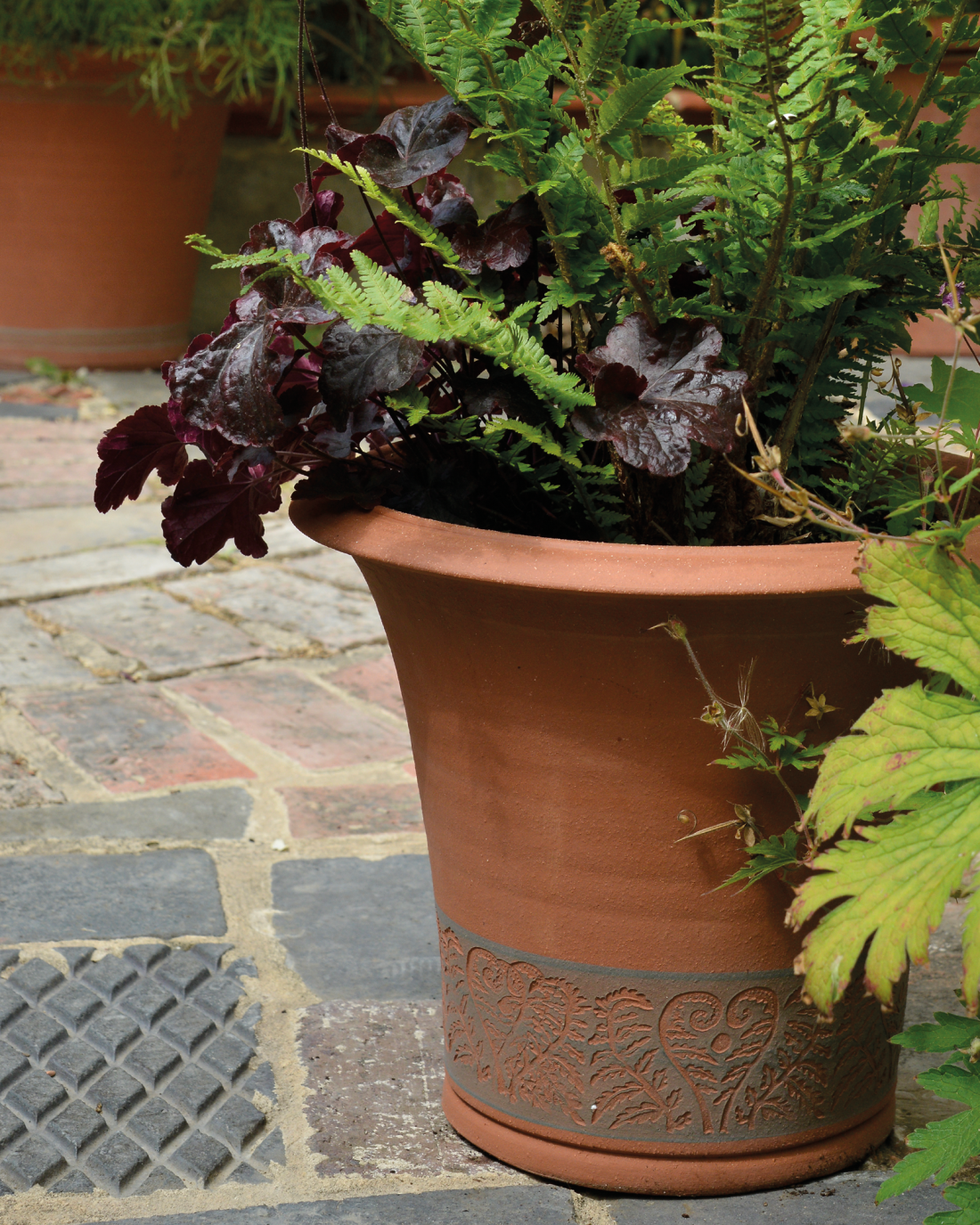 Fern Planter Whichford Pottery